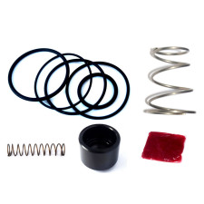 Forge turbokleppenreparatieset FMDVRAY / FMBM335DV1 - FO-FMDVSK-RAY - FMDVSK-FMBM335DV1 - 3661768643617