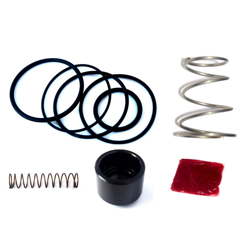 Set de reparație pentru supapa turbo Forge FMDVRAY / FMBM335DV1 - FO-FMDVSK-RAY - FMDVSK-FMBM335DV1 - 3661768643617