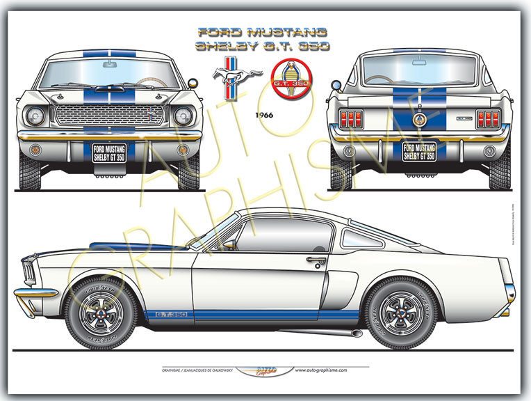 Ford Mustang Shelby 350 GT Poster - AG-FO01 - FO01 - 36617681497494