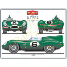 Poster Jaguar Type D