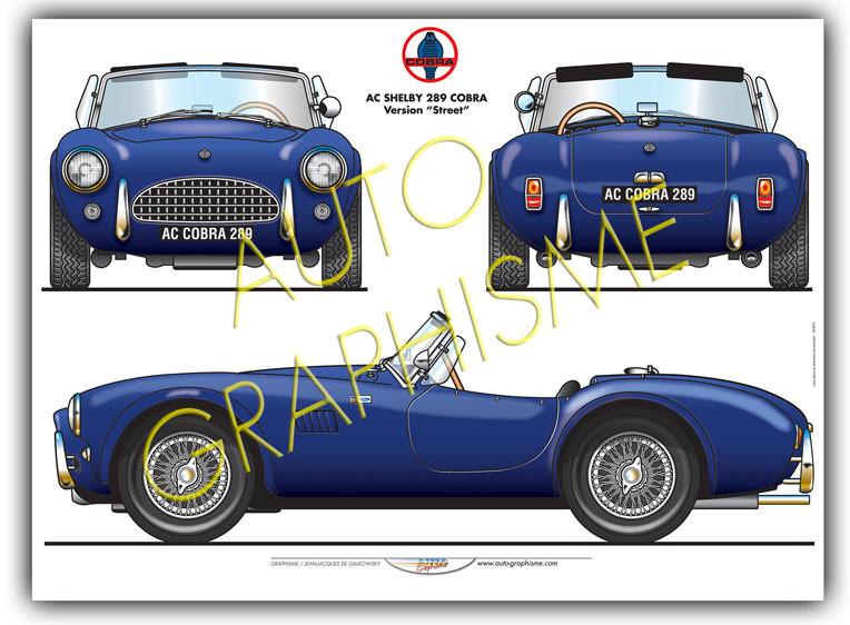 Poster Shelby 289 Cobra - AG-SH01 - SH01 - 36617681498075