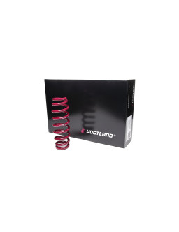 Ressorts Courts MTS Technik Pour Volkswagen New Beetle 1.6 (1998-2011) - 45/45mm - Neufs