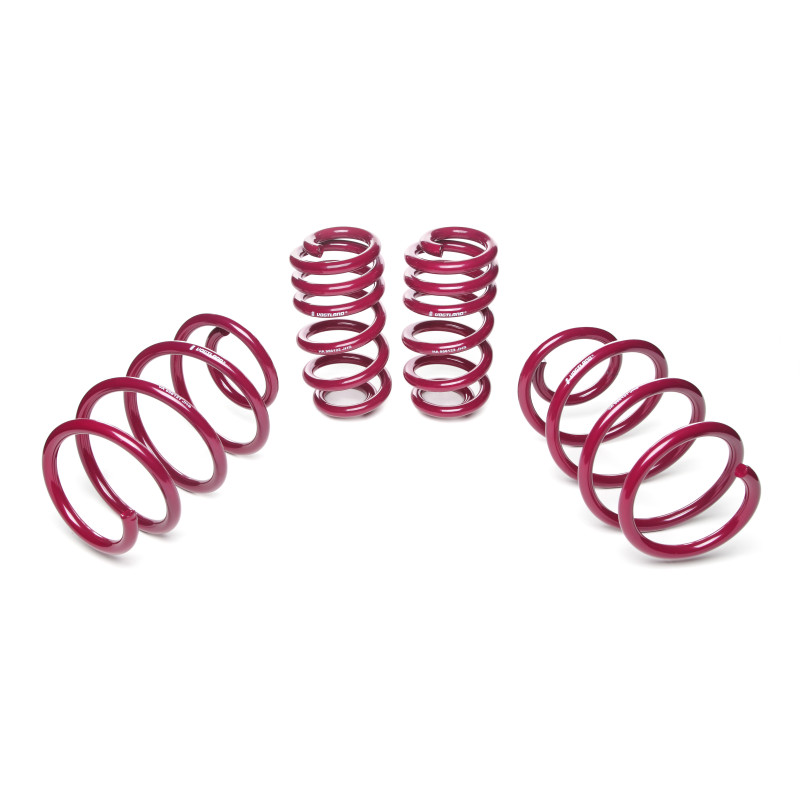 Korte veren VOGTLAND VW Multivan V 1.9 TDI 102pk 06/06-09/11 - 30 / 30 - VOG-956121 - 956121 - 4251244608323