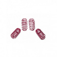 Korte veren VOGTLAND Audi TT 1.8 TFSI 160pk 08/06-14/06