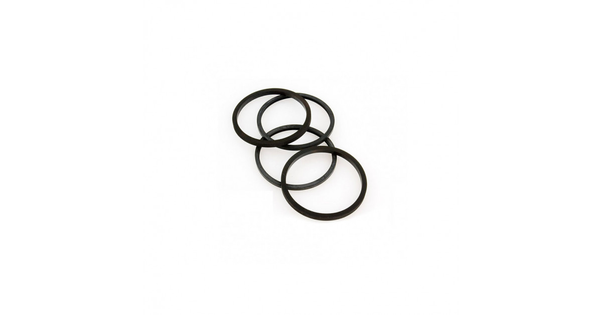 AP-Racing replacement seal for CP2383