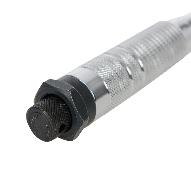 Silverline 962219 Chiave Dinamometrica A Cricchetto 3/8" 20-110 Nm, CRV, Reversibile - 3