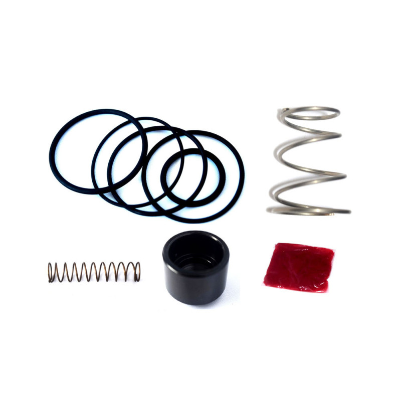 Turbo kleppen reparatieset FMDV17R Forge Motorsport - FO-FMDVSK-17R - FMDVSK-FMDV17R - 3661768841112