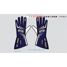 GT2i Pro 02 aangepaste handschoenen