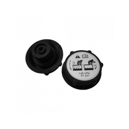 Bouchon vase expansion adaptable Ford
