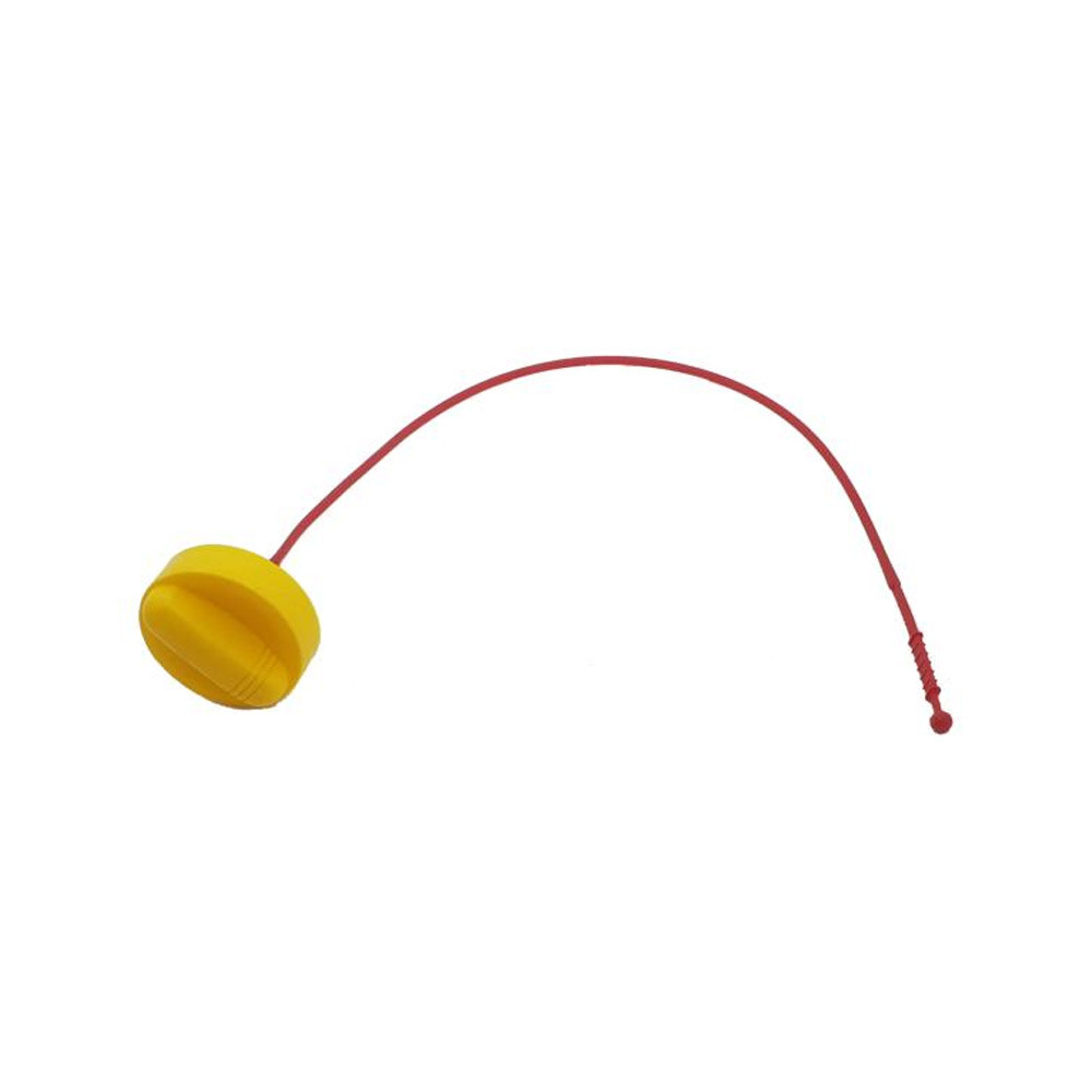 Olieplug met peilstok voor Renault - LI-PL2022 - PL2022 - 3760020002596