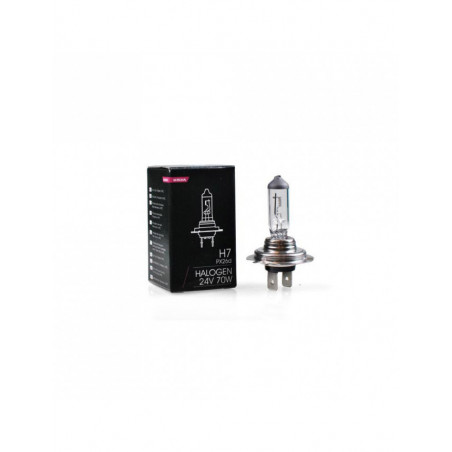 1 ampoule H7 24V 70W (boîte)