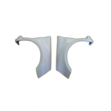 Parafango Anteriore Destra Renault Clio 3 RS Fase 1 Fibra Parafango Anteriore Destra Renault Clio 3 RS Fase 1 Fibra