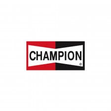 Bannière Champion 154x80cm - image #