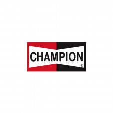 Bannière Champion 154x80cm