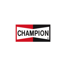 Kampioen banner 154x80cm - F-UA20007 - UA20007 - 3661768388297