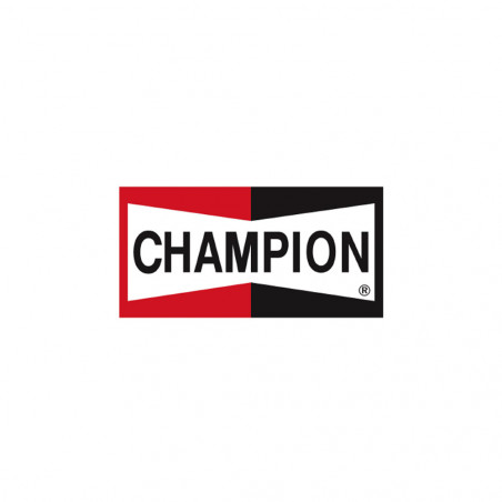 Bannière Champion 154x80cm