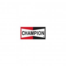 Sticker Champion 20x10.5cm - image #
