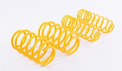 Korte veren ST Suspensions 28220075 - STS-28220075 - 28220075 - 36617681947347