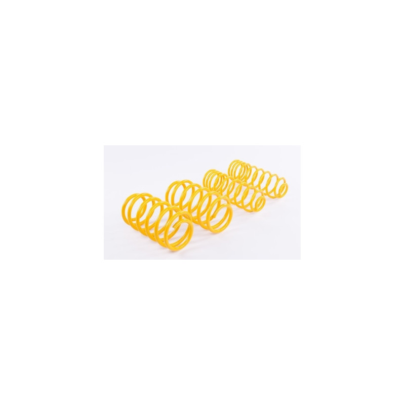 Korte veren ST Suspensions 28281026 - STS-28281026 - 28281026 - 36617681943107