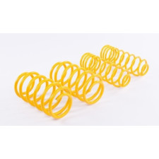 Korte veren ST Suspensions 28281069 - STS-28281069 - 28281069 - 36617681944778