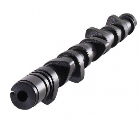 CAT CAMS Alpine A110 1.6/R12 Gord 310°/310° camshaft