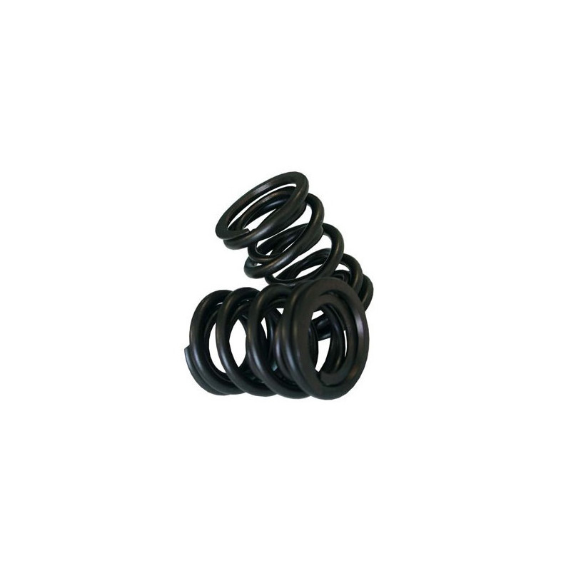 Cat Cams VAG klepveerset (x12) - CC-902-0013-12 - PAC-S90013 (X12) - 3661768376348