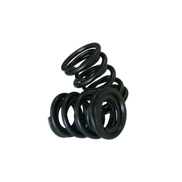 Cat Cams valve spring kit VAG (x12) - CC-902-0013-12 - PAC-S90013 (X12) - 3661768376348
