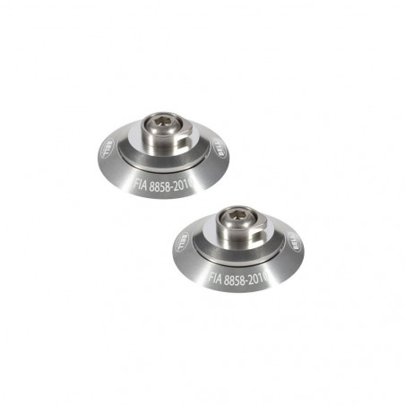 Hans clips FIA8858-2010 Zilver