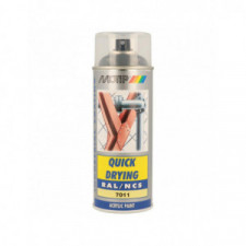 Peinture aérosol RAL 7011 MOTIP RAL 400ml