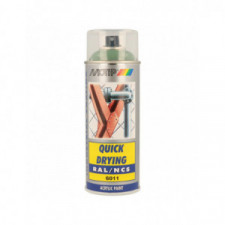 Peinture aérosol RAL 6011 MOTIP RAL 400ml