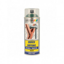 Peinture aérosol RAL 6005 MOTIP RAL 400ml
