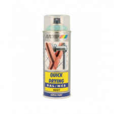 Peinture aérosol RAL 6027 MOTIP RAL 400ml