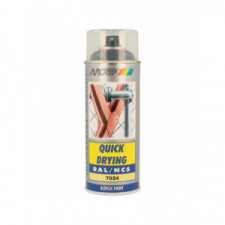 Peinture aérosol RAL 7024 MOTIP RAL 400ml