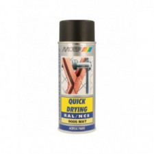 Peinture aérosol RAL 9005 MOTIP RAL 400ml