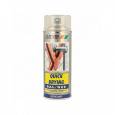 Vernis aérosol Transparent Usage Professionnel MOTIP RAL 400ml