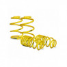 APEX short spring kit 140-2200
