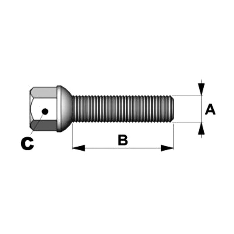 Conical screws 14x125mm length 45mm or 50mm head 17mm - BR-BCGS17 - 3661768393680
