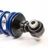 TrackSport Suspension Kit / A5-Platform Golf 5/6, A3 8P, Leon 2 (55mm strut)