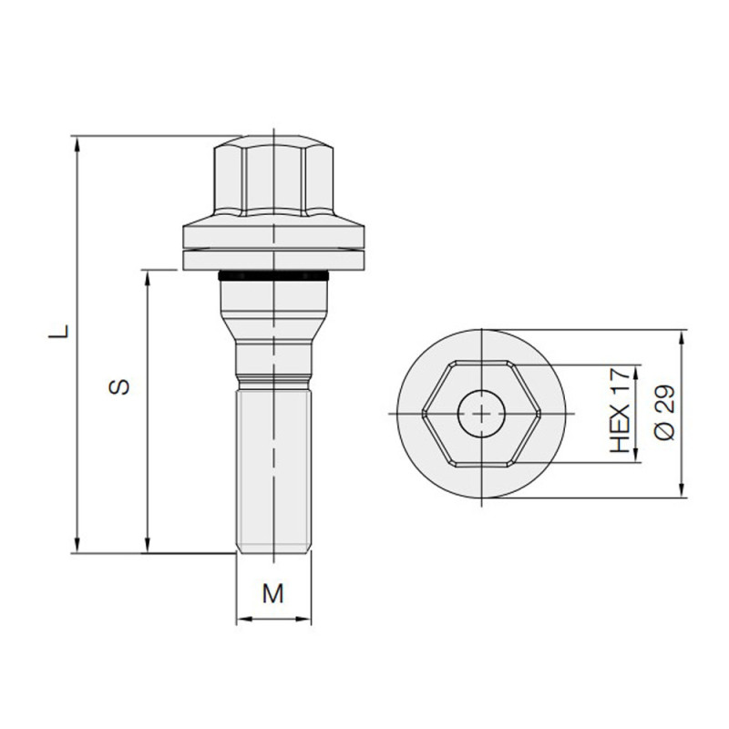 GT2i platte schroef voor Citroën / Peugeot 12x125mm lengte 56mm - BR-PEUGS1 - 3661768418352