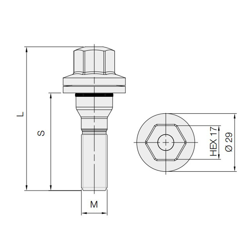Vis GT2i plate pour Citroën / Peugeot 12x125mm longueur 56mm - BR-PEUGS1 - 3661768418352
