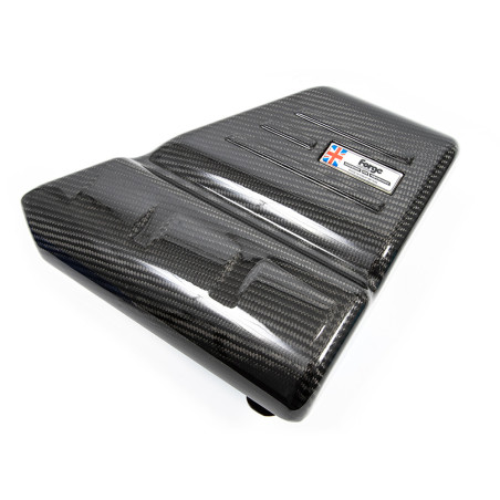 Coprimotore carbonio Forge per Fiat Abarth 500/595/695
