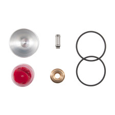 Kit di manutenzione per wastegate con pistone Forge