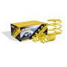 APEX 80-7900 short spring kit