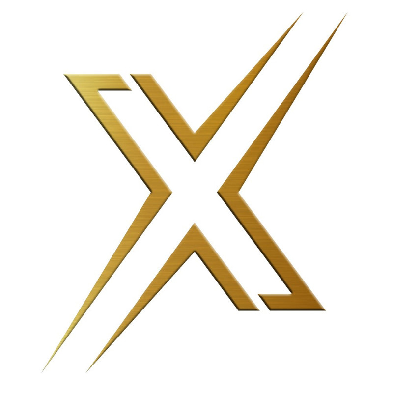 Pagid S8101 RSX remblokken - PA-8101-RSX - S8101RSX001 - 4056029078632