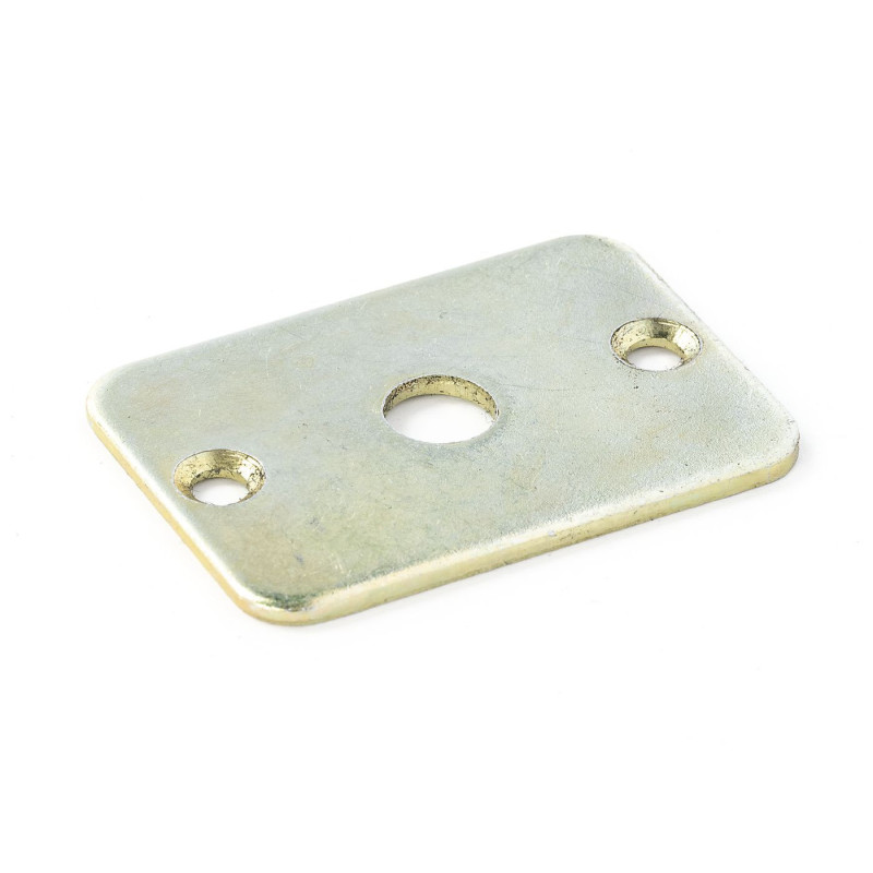 Weber inspectieplaat - W-52135024 - 5213502400 - 3661768302347