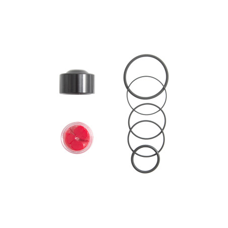 Kit réparation turbo valve FORGE FMDV008