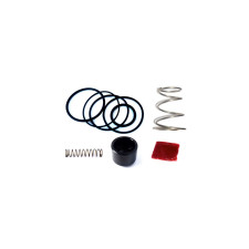 Kit réparation turbo valve FMDVF500R