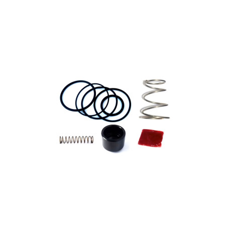 Kit réparation turbo valve FMDVF500R