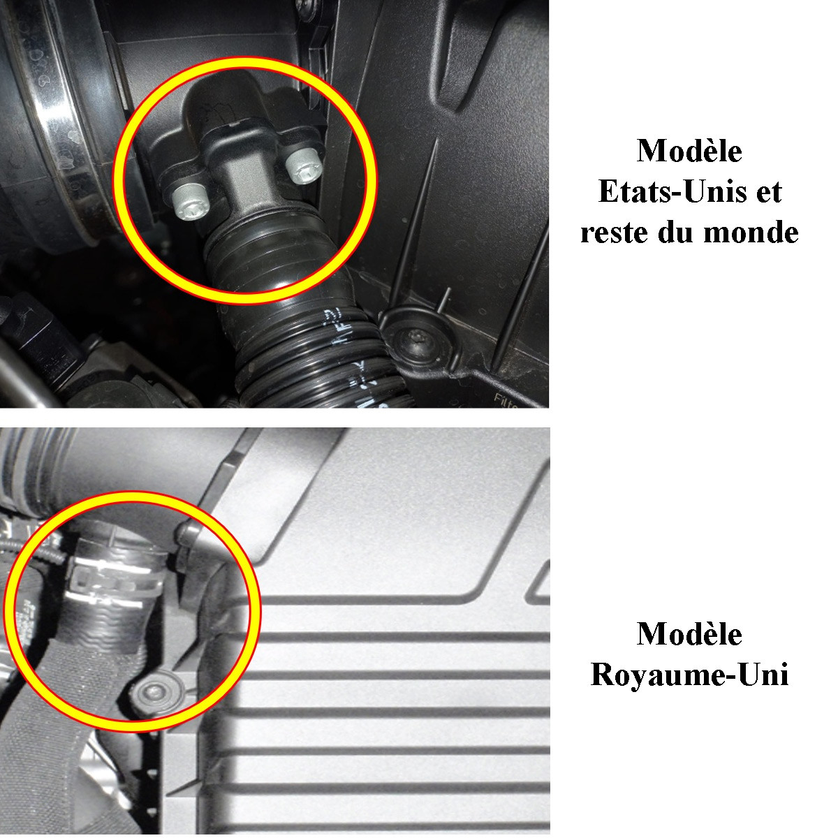 Furtun supapă de derivare Forge pentru Audi RS3 / RSQ3 / TTRS / Cupra Formentor - FO-FMBH8 - FMBH8 - 3666618603247