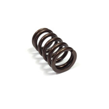 Cat Cams Gold valve spring Renault